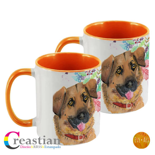 pack_2_tazon_taza