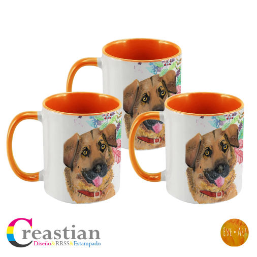 pack_3_tazon_taza